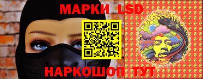 мдпв Бийск
