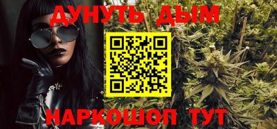 мдпв Бийск
