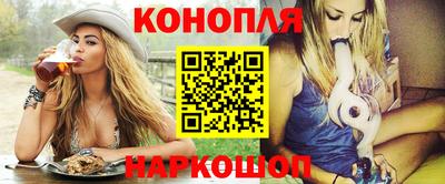 мдпв Бийск