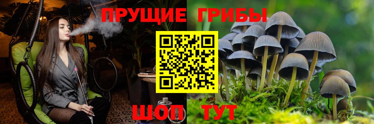 Псилоцибиновые грибы GOLDEN TEACHER  Вход с VPN  Канаш 